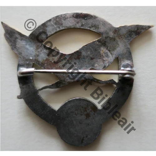 SECTION PHOTO 35ème RAO  SM Eping bascule Dos lisse Src.Y.GENTY Collect JM 